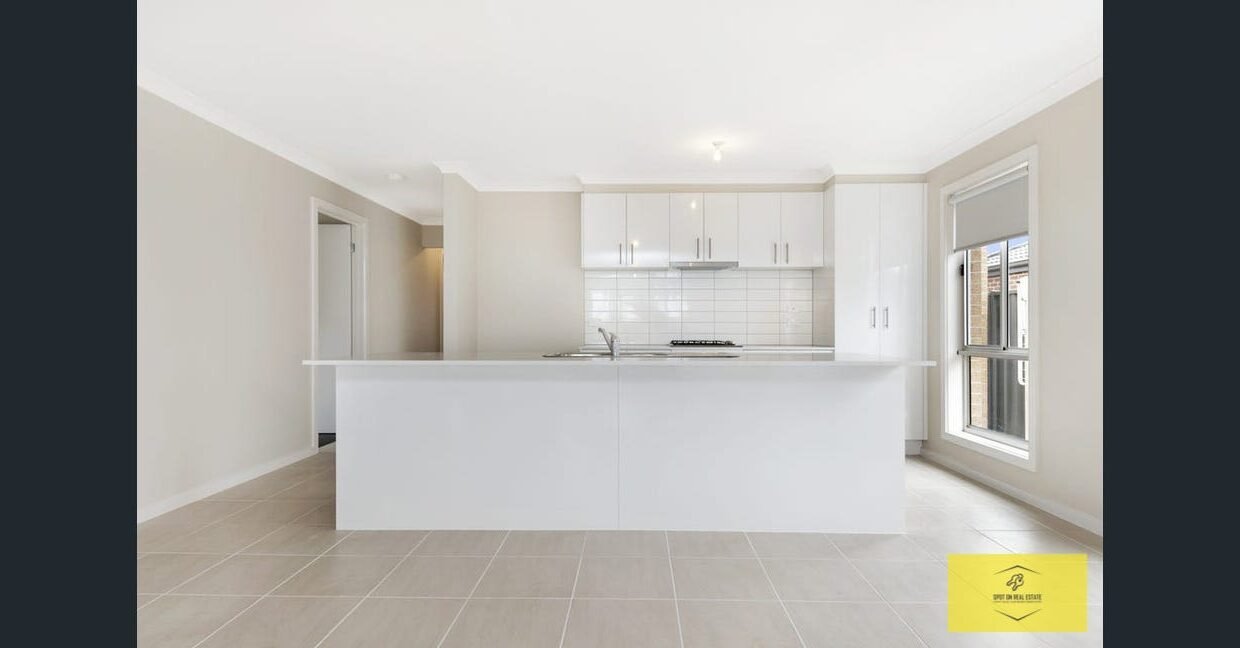 image - 2026-03-06T110111.648