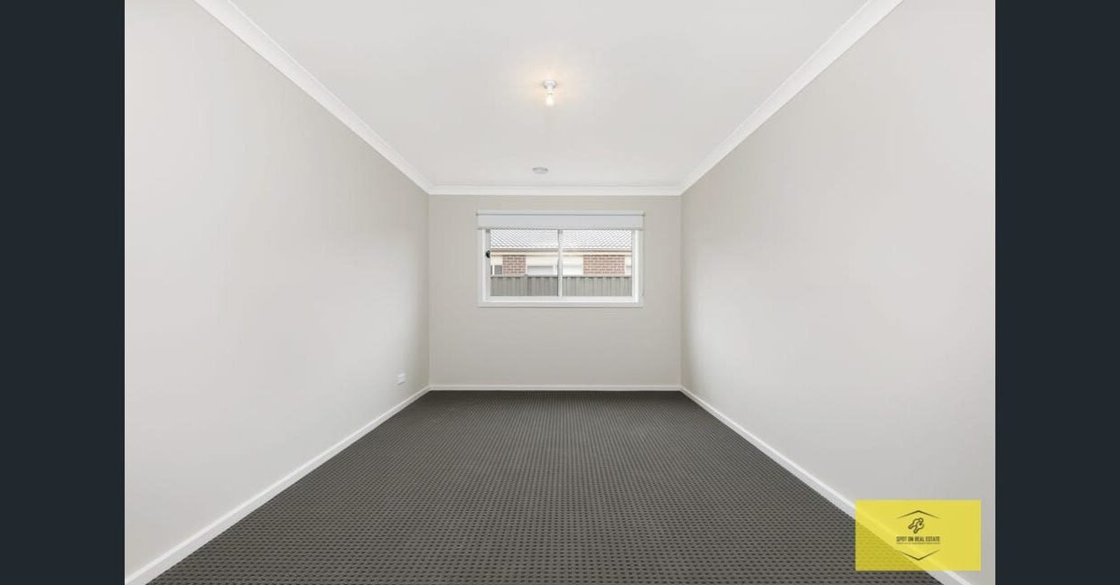 image - 2026-03-06T110116.658