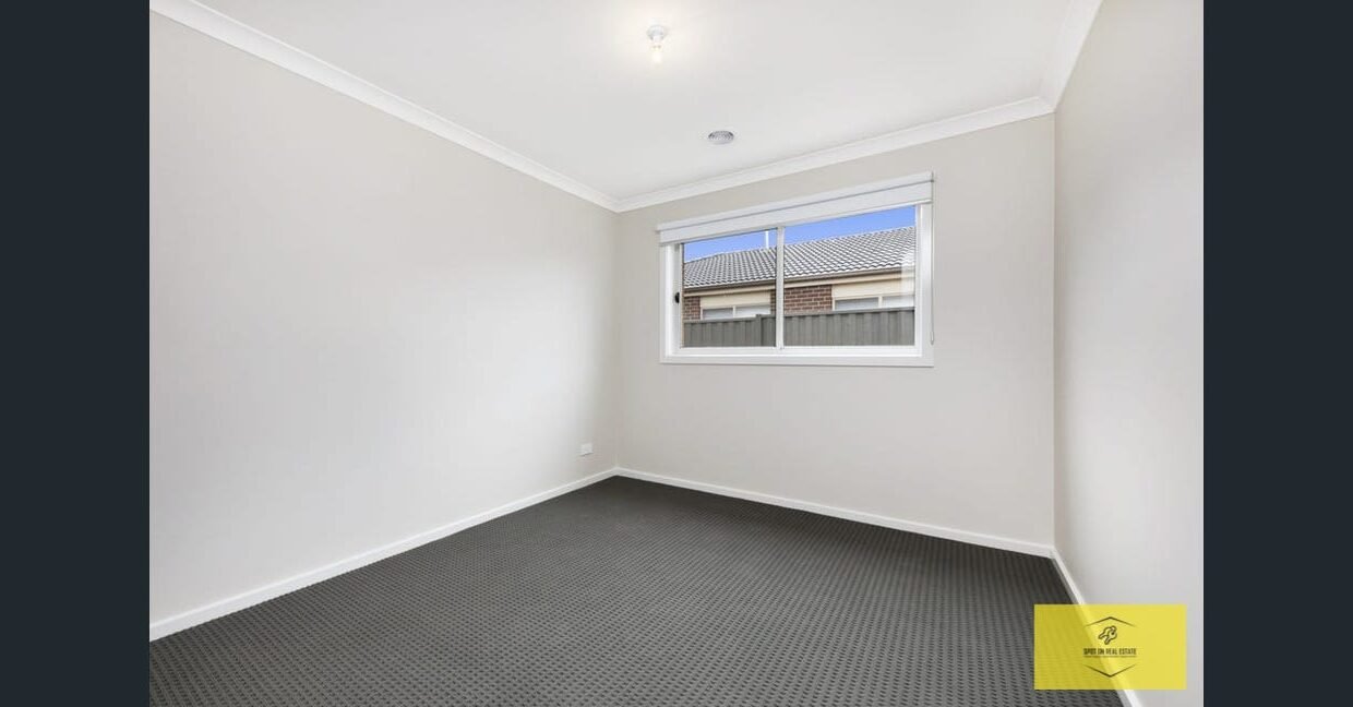 image - 2026-03-06T110121.700