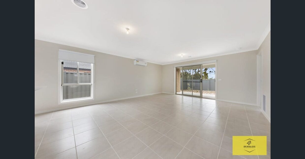 image - 2026-03-06T110126.805