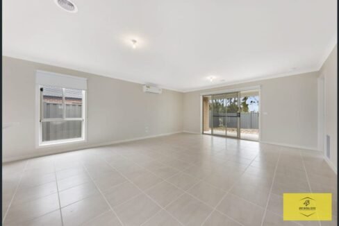 image - 2026-03-06T110126.805