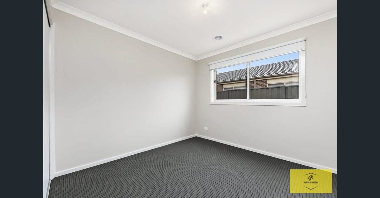 image - 2026-03-06T110138.553