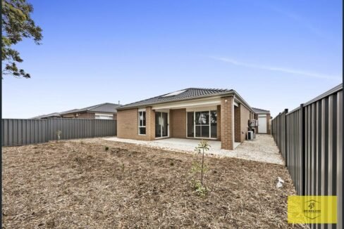 image - 2026-03-06T110145.724