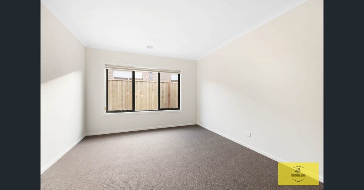 image - 2026-03-06T110849.282