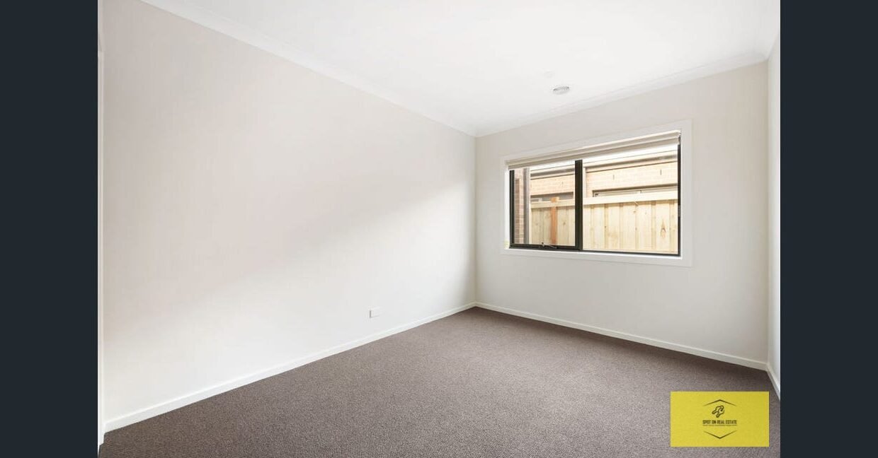 image - 2026-03-06T110907.083