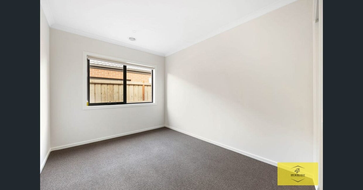 image - 2026-03-06T110917.771