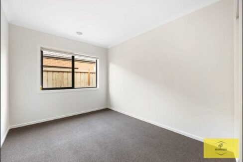 image - 2026-03-06T110917.771