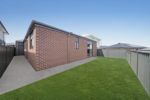 image - 2026-03-06T111310.731