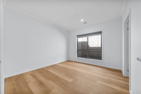 image - 2026-03-06T111339.520